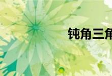 鈍角三角形高的畫法