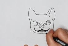 如何畫法國斗牛犬簡筆畫？