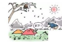 日常生活：被馬蜂蟄了應(yīng)該怎么辦呢