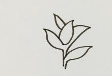 茶樹如何畫簡(jiǎn)筆畫？