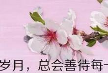 日常生活：最透徹的人生感悟有哪些