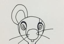 如何畫(huà)單耳簡(jiǎn)筆畫(huà)？