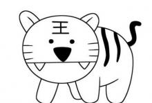 東北虎簡(jiǎn)筆畫圖片大全可愛(ài)