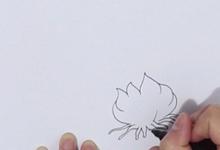 水仙花的簡筆畫