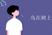 教育資訊:鳥(niǎo)在樹(shù)上用in還是on