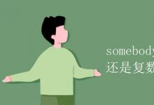 教育資訊：somebody是單數(shù)還是復(fù)數(shù)