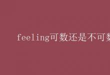 教育資訊:feeling可數(shù)還是不可數(shù)