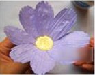 母親節(jié)手工：手工制作波斯菊