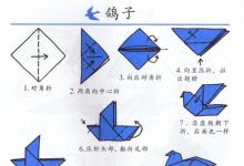 如何用手折鴿子？