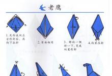 如何用手折鷹？
