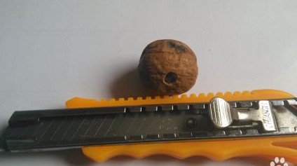 幼兒手工：手工制作玩具風(fēng)車(chē)
