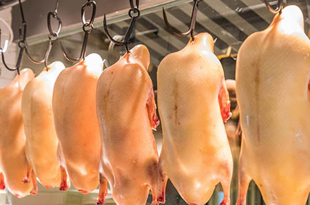 兒童王冠怎么做2