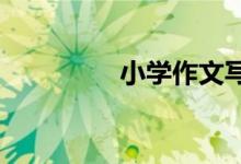 小學(xué)作文寫(xiě)作方法與技巧