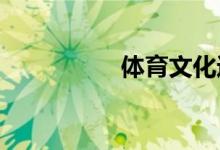 體育文化進(jìn)校園手抄報(bào)