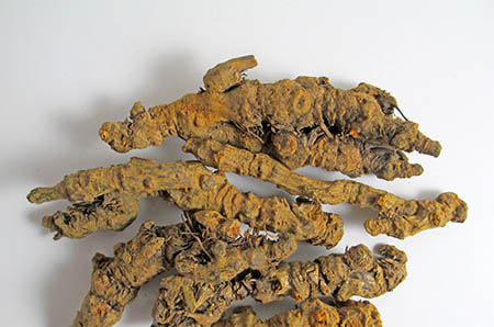 奶粉蓋子廢物利用，畫(huà)出可愛(ài)貓頭鷹7