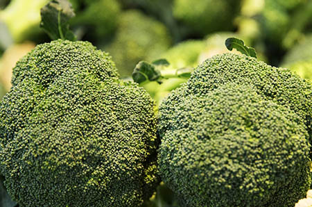 幼兒園母親節(jié)手工花朵4 幼兒園母親節(jié)手工花朵4