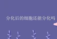 教育資訊：分化后的細(xì)胞還能分化嗎