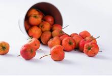 這些看到后會好起來的父母和孩子的手 適合梅雨天