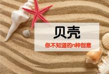 古代人把它當錢 現(xiàn)代幼兒園老師把它當寶