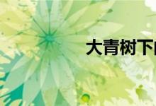 大青樹下的小學簡筆畫