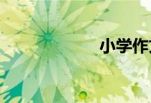 小學(xué)作文怎樣寫好