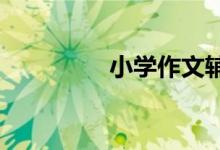 小學(xué)作文輔導(dǎo)：如何審題