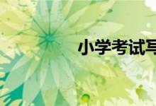 小學(xué)考試寫事作文怎么寫