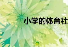 小學(xué)的體育社團(tuán)活動(dòng)都有哪些？