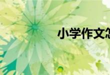 小學(xué)作文怎么寫（原創(chuàng)）