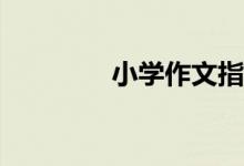 小學(xué)作文指導(dǎo)：如何點(diǎn)題？