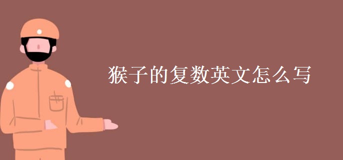 猴子的復(fù)數(shù)英文怎么寫