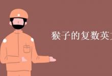 教育資訊：猴子的復數(shù)英文怎么寫