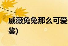 戚薇兔兔那么可愛是什么電視劇(北京女子圖鑒)