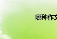 哪種作文類型好寫？
