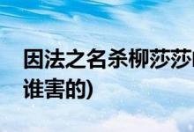 因法之名殺柳莎莎兇手(因法之名中柳莎莎被誰(shuí)害的)