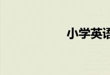 小學(xué)英語(yǔ)語(yǔ)法是什么