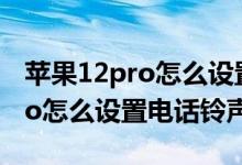 蘋果12pro怎么設(shè)置電話鈴聲（iPhone13pro怎么設(shè)置電話鈴聲）