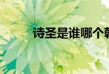 詩圣是誰哪個朝代人（詩圣是誰）