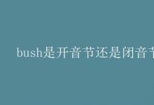 教育資訊:bush是開音節(jié)還是閉音節(jié)