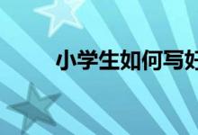 小學生如何寫好優(yōu)秀考場作文作文