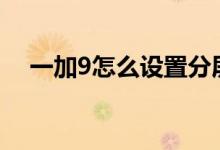 一加9怎么設置分屏（一加9rt怎么分屏）