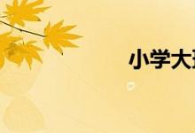 小學(xué)大班化的危害