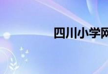 四川小學網(wǎng)絡課程怎么看