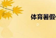 體育暑假作業(yè)表怎么填