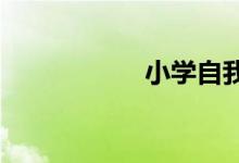 小學(xué)自我介紹怎么寫