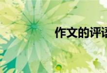 作文的評(píng)語應(yīng)該怎樣寫？