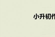 小升初作文應試技巧
