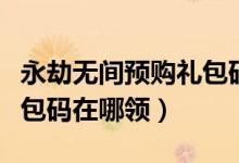 永劫無間預購禮包碼在哪領（永劫無間預購禮包碼在哪領）