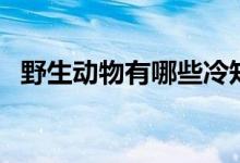 野生動物有哪些冷知識（野生動物有哪些）