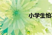 小學(xué)生怕寫作文怎么辦